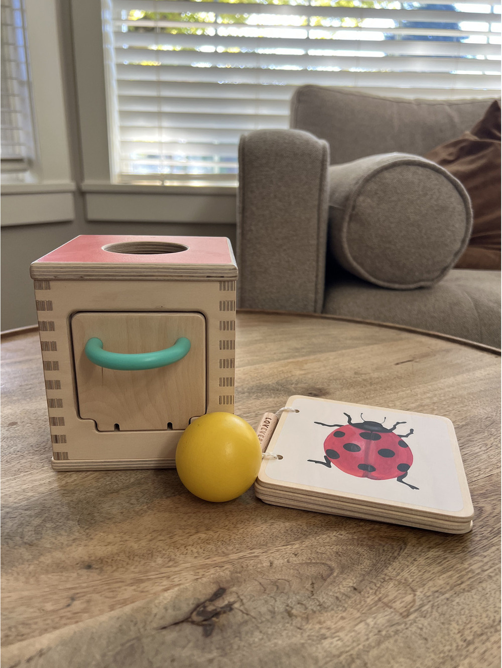Lovevery Bundle, Hide & Find Drop Box Baby Toy and Colorful Animals Wooden Book